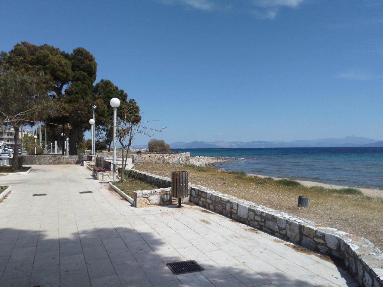 Starfish Seaside Studio Aparthotel Αρτέμιδα Εξωτερικό φωτογραφία